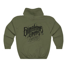 Load image into Gallery viewer, Sunshine Ray Hoodie