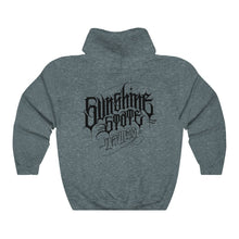 Load image into Gallery viewer, Sunshine Ray Hoodie