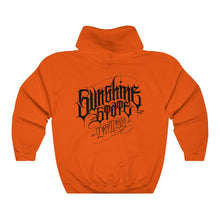 Load image into Gallery viewer, Sunshine Ray Hoodie