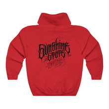 Load image into Gallery viewer, Sunshine Ray Hoodie