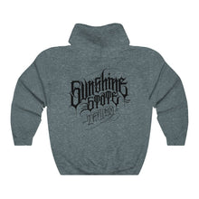 Load image into Gallery viewer, Sunshine Ray Hoodie
